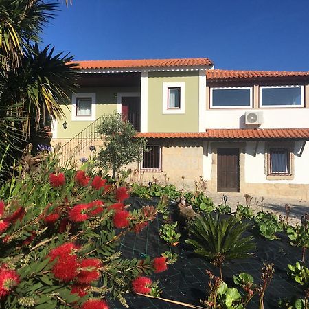瓦泽拉 Quinta De Mocamedes - Turismo De Habitacao酒店 外观 照片