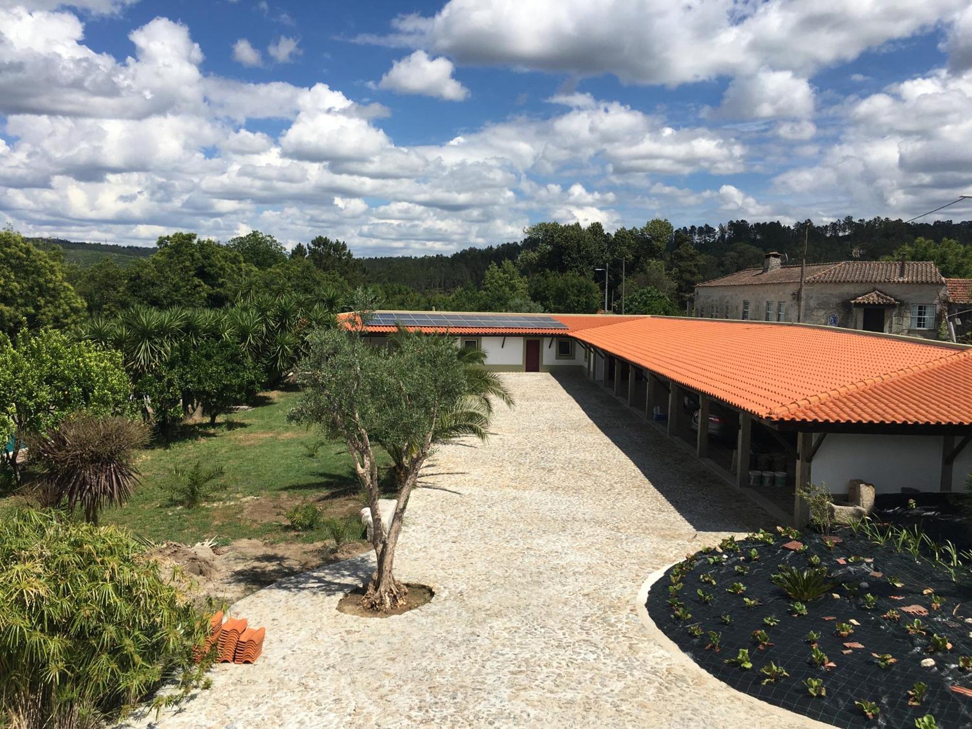 瓦泽拉 Quinta De Mocamedes - Turismo De Habitacao酒店 外观 照片
