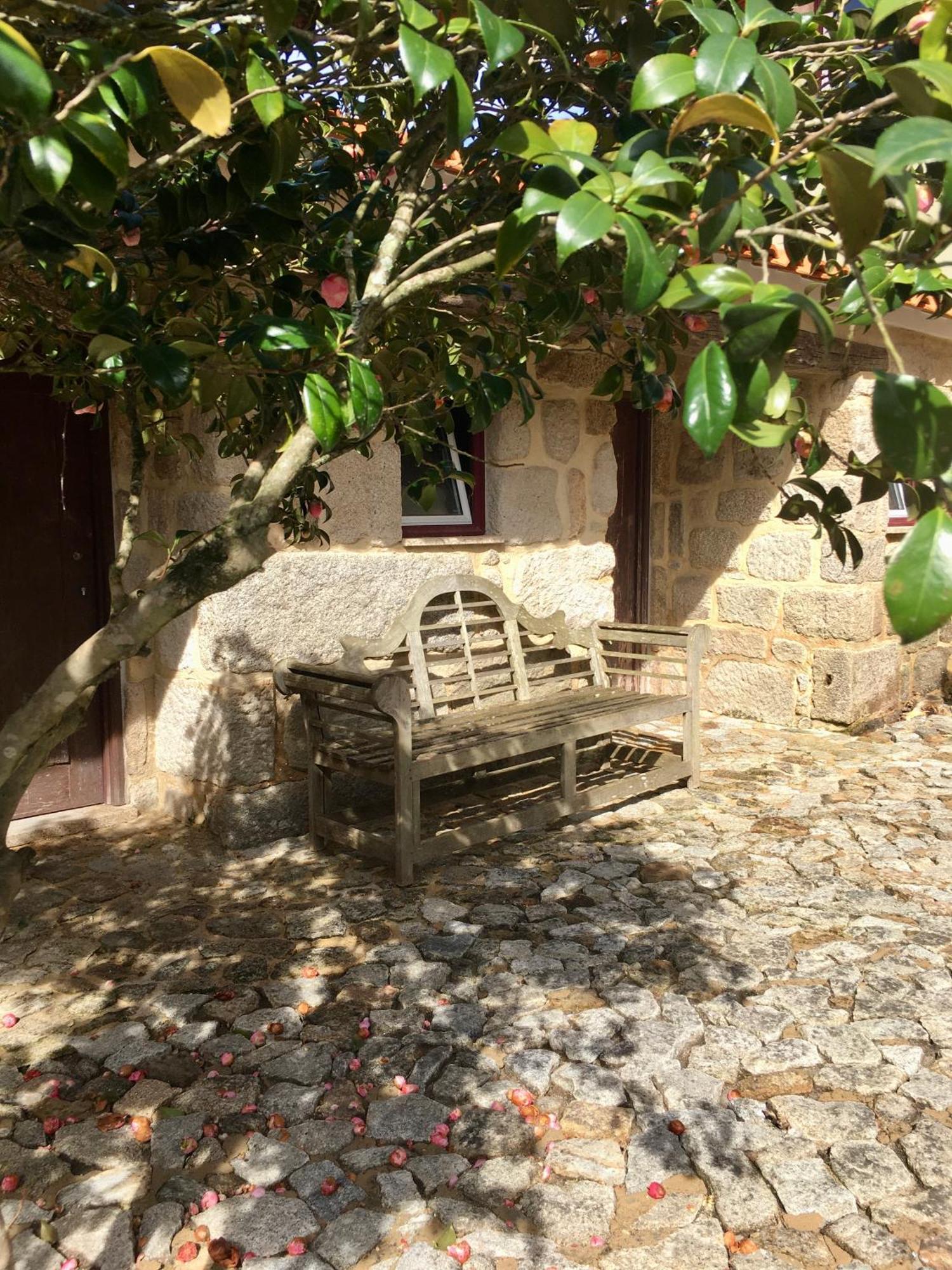 瓦泽拉 Quinta De Mocamedes - Turismo De Habitacao酒店 外观 照片