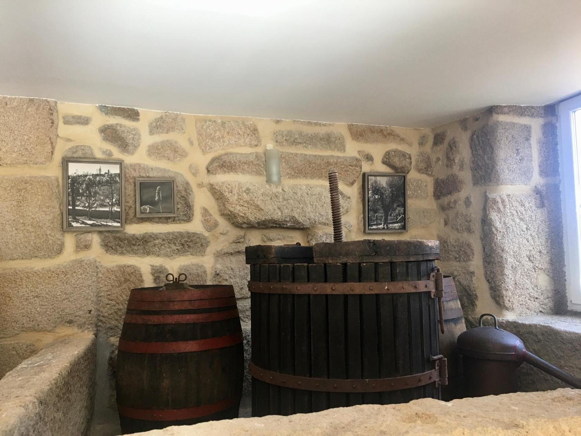 瓦泽拉 Quinta De Mocamedes - Turismo De Habitacao酒店 外观 照片