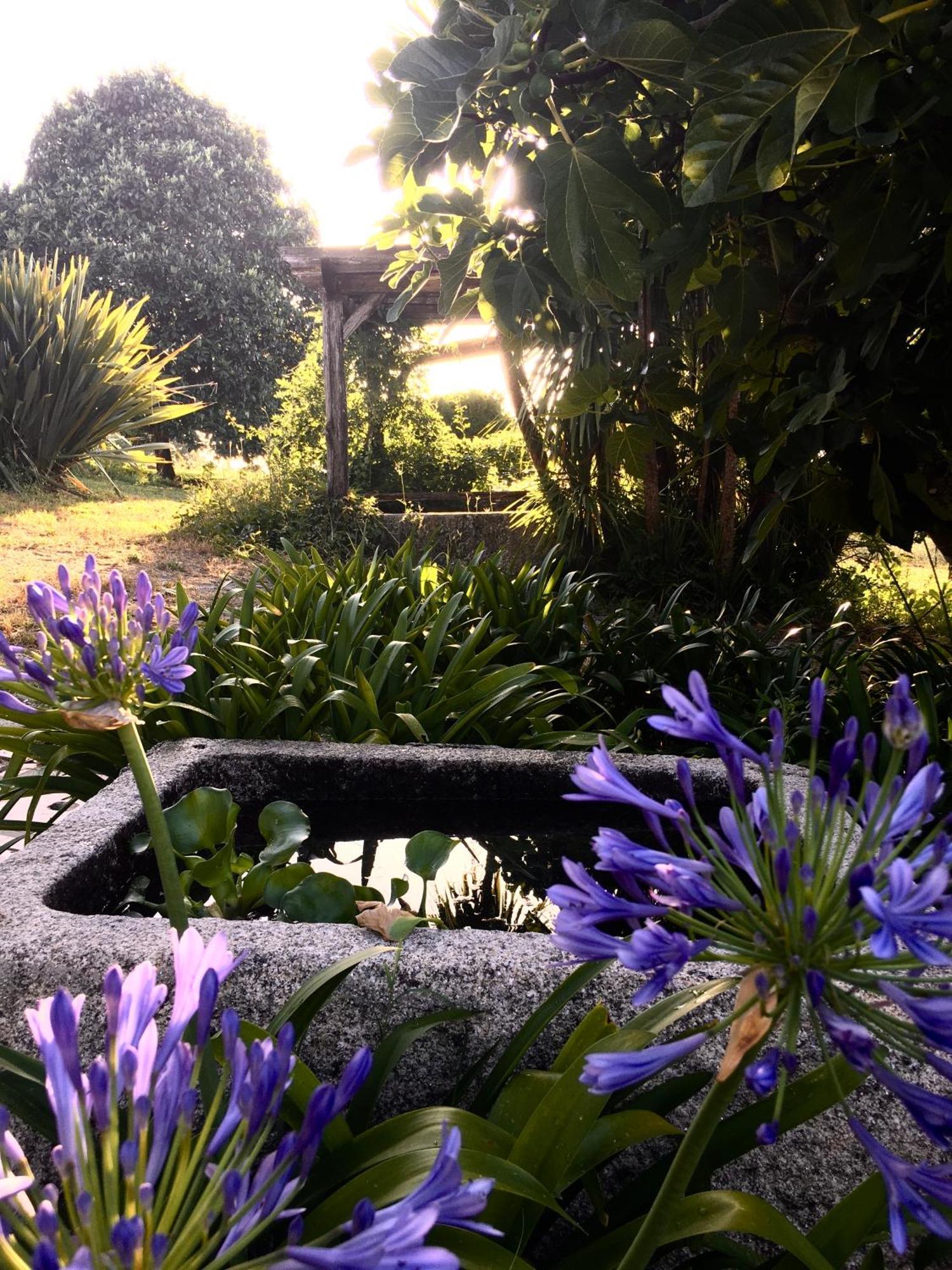 瓦泽拉 Quinta De Mocamedes - Turismo De Habitacao酒店 外观 照片