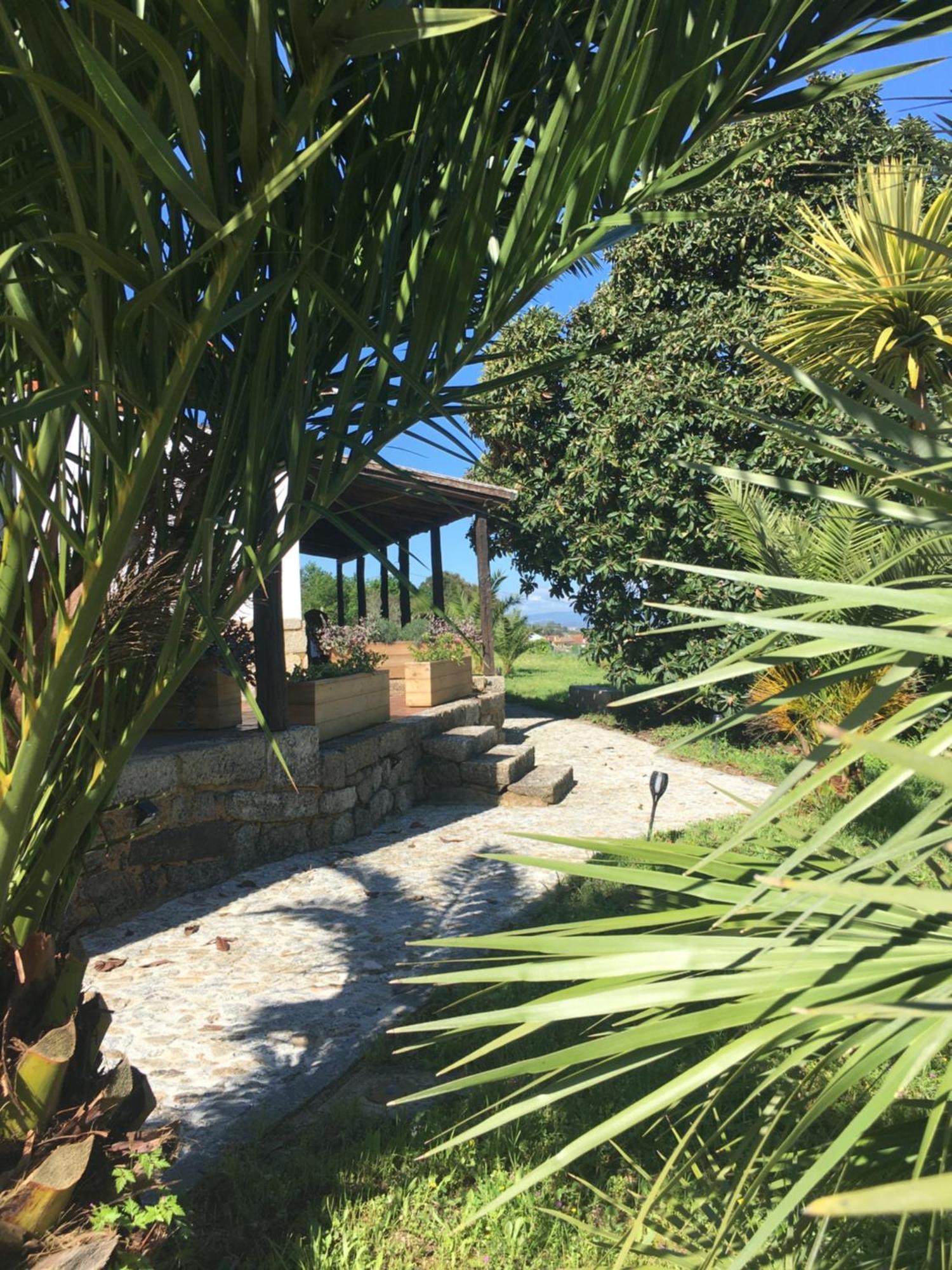 瓦泽拉 Quinta De Mocamedes - Turismo De Habitacao酒店 外观 照片
