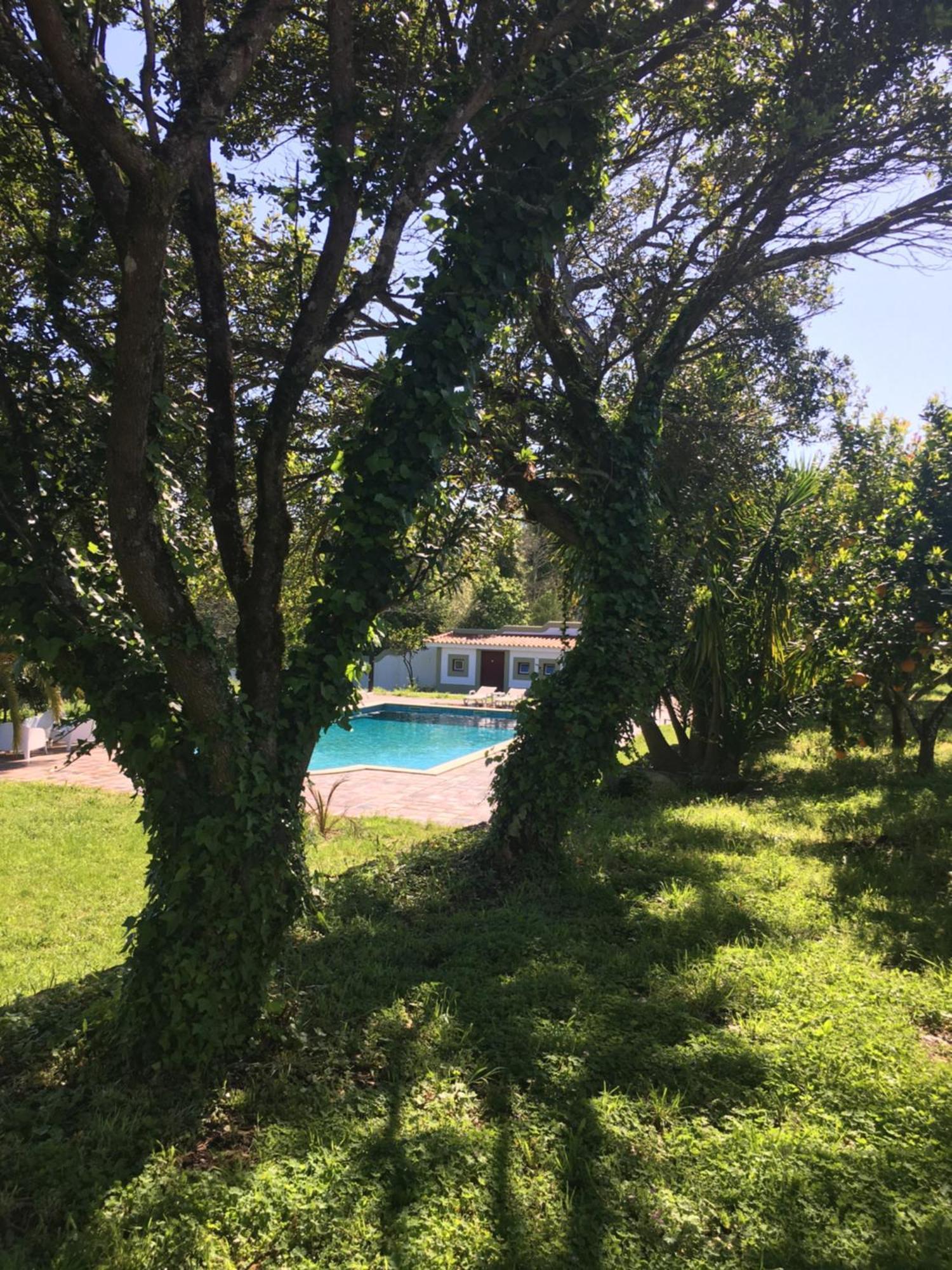 瓦泽拉 Quinta De Mocamedes - Turismo De Habitacao酒店 外观 照片